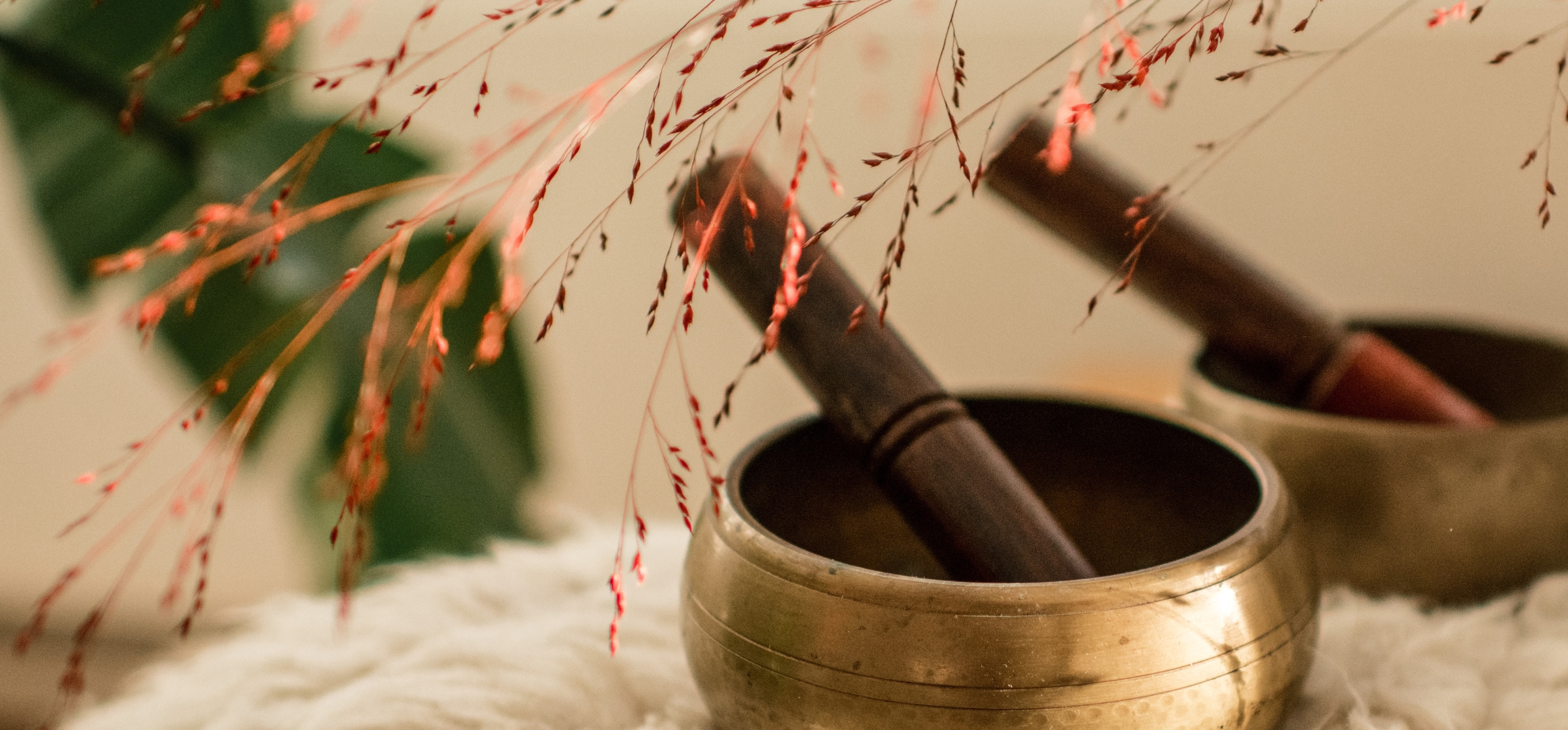 waarom mantra's helen_De Nieuwe Yogaschool